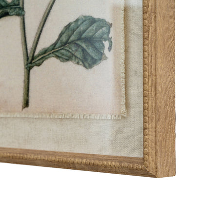 Flora & Fauna Collection Borage On Linen In Beaded Frame - Printed Art from the Quanta Home collection.