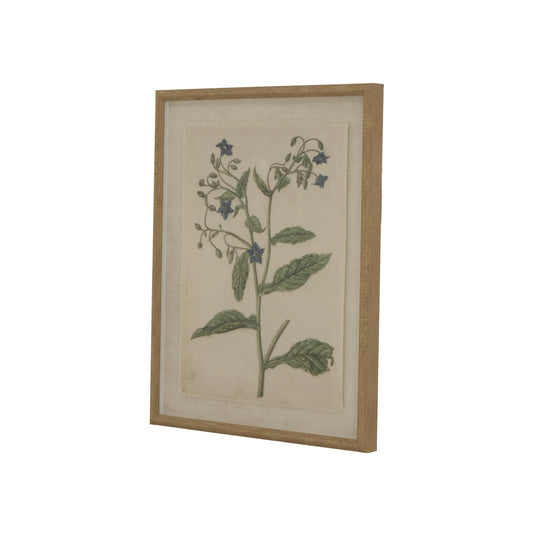 Botanical art featuring borage with intricate detailing, set in a luxurious beaded frame, enhancing any decor style.