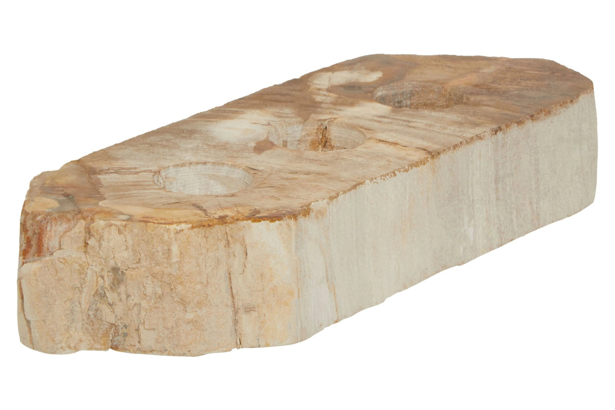 Artifact Petrified Wood 3 Tealight Holder