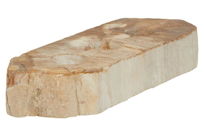 Artifact Petrified Wood 3 Tealight Holder
