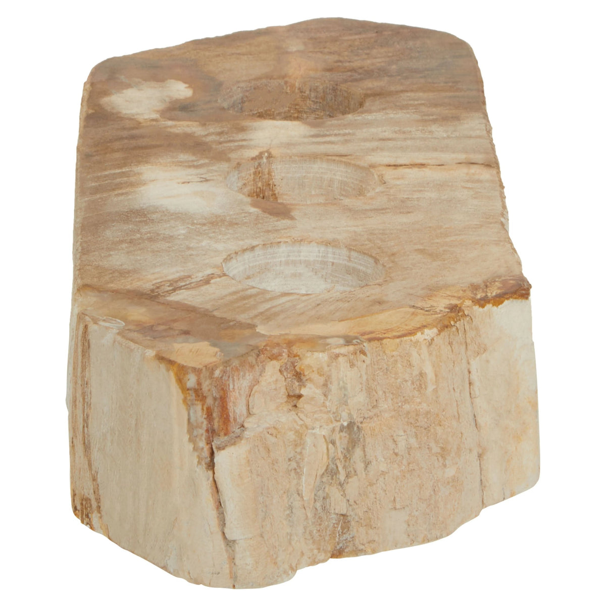 Artifact Petrified Wood 3 Tealight Holder