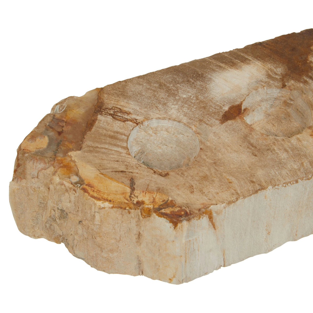 Artifact Petrified Wood 3 Tealight Holder