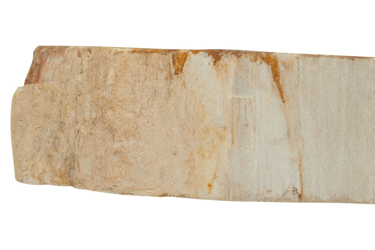 Artifact Petrified Wood 3 Tealight Holder