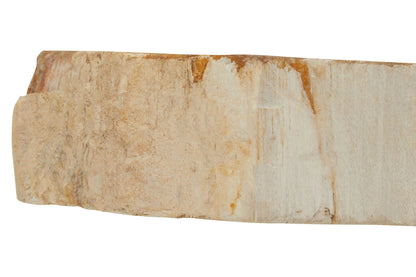 Artifact Petrified Wood 3 Tealight Holder