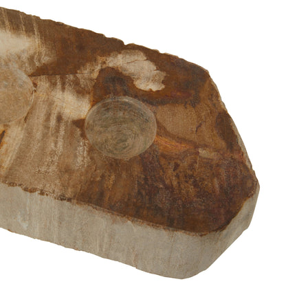 Artifact Petrified Wood 3 Tealight Holder