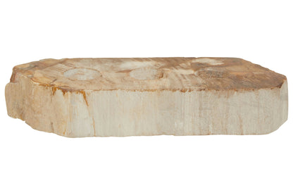 Artifact Petrified Wood 3 Tealight Holder