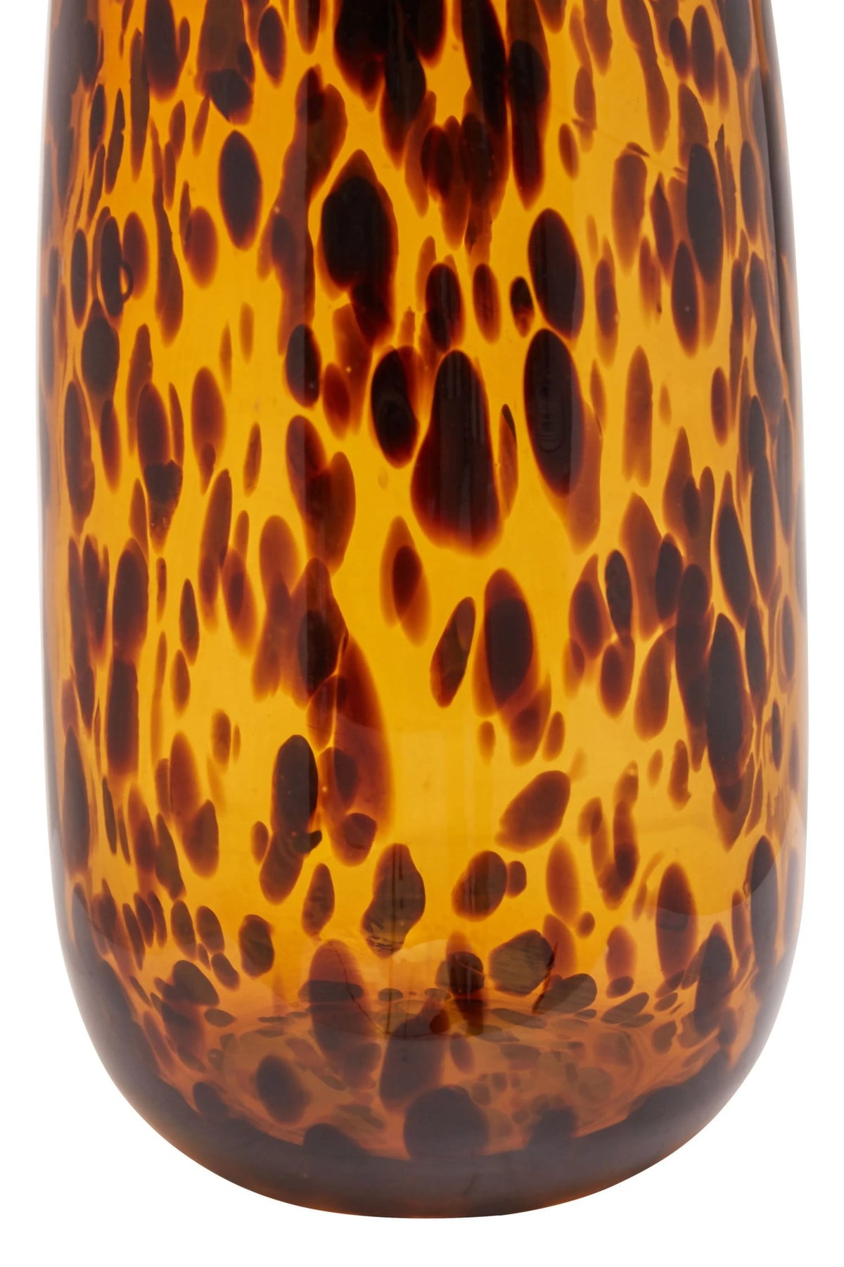 Premier Housewares product image