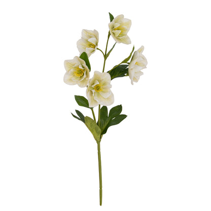 White Hellebore Stem - Single Stem Flowers from the Quanta Home collection.