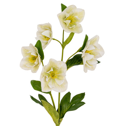 White Hellebore Stem - Single Stem Flowers from the Quanta Home collection.
