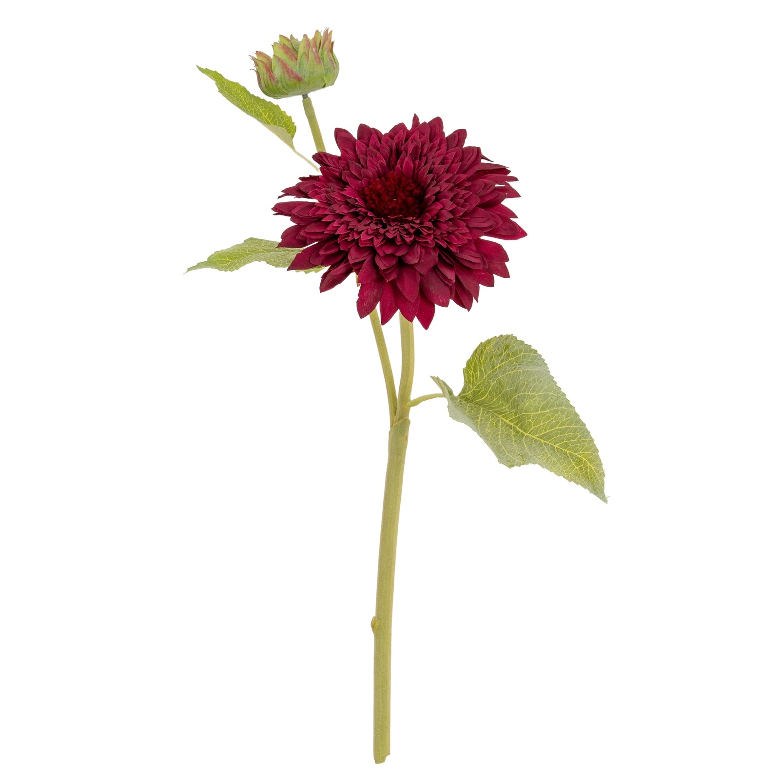 Dahlia Burgundy Raven Stem - Single Stem Flowers from the Quanta Home collection.