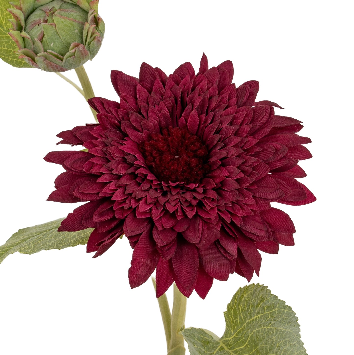 Dahlia Burgundy Raven Stem - Single Stem Flowers from the Quanta Home collection.