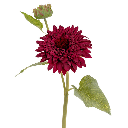 Dahlia Burgundy Raven Stem - Single Stem Flowers from the Quanta Home collection.