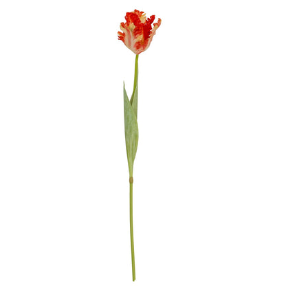 Flame Orange Parrot Tulip - Single Stem Flowers from the Quanta Home collection.