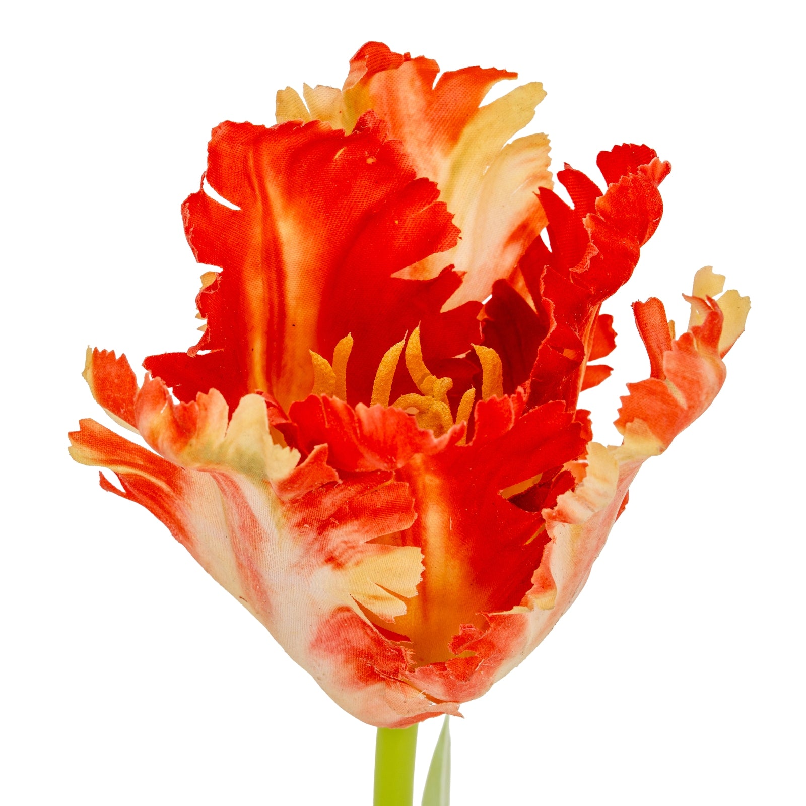 Flame Orange Parrot Tulip - Single Stem Flowers from the Quanta Home collection.