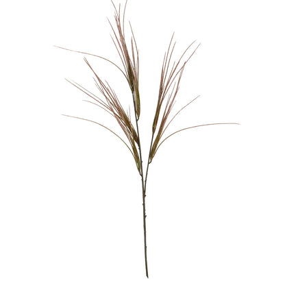 Brome Grass Spray - Single Stem Flowers from the Quanta Home collection.