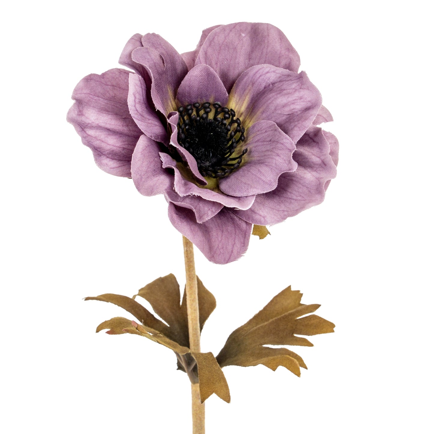 Purple Anemone Stem - Single Stem Flowers from the Quanta Home collection.