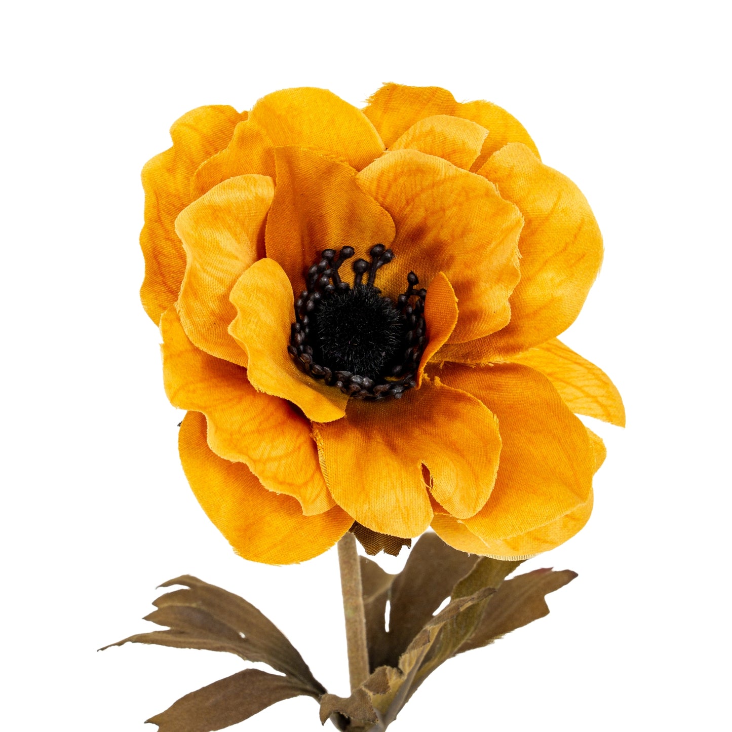 Yellow Anemone Stem - Single Stem Flowers from the Quanta Home collection.