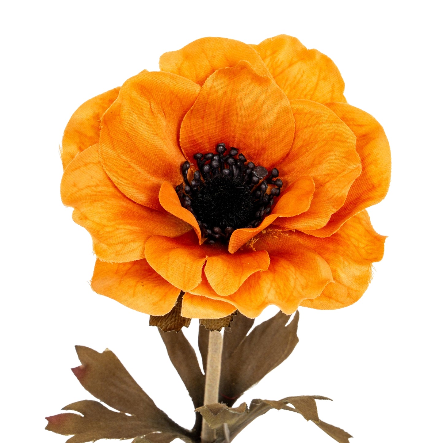 Orange Anemone Stem - Single Stem Flowers from the Quanta Home collection.