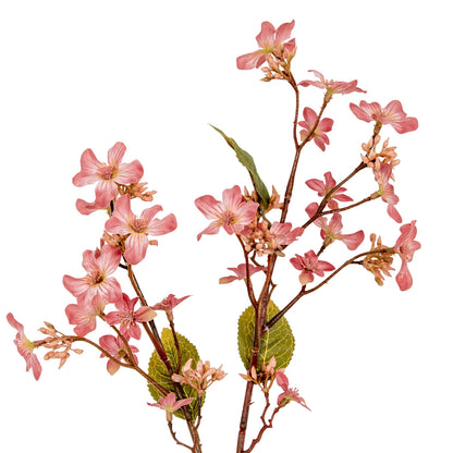 Pink Vernicia Fordii Spray - Single Stem Flowers from the Quanta Home collection.