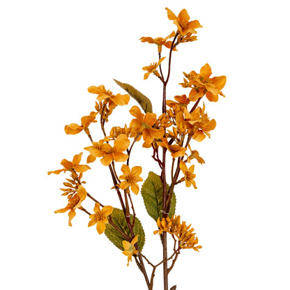 Yellow Vernicia Fordii Spray - Single Stem Flowers from the Quanta Home collection.