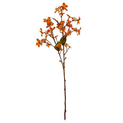 Orange Vernicia Fordii Spray - Single Stem Flowers from the Quanta Home collection.