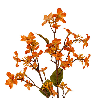 Orange Vernicia Fordii Spray - Single Stem Flowers from the Quanta Home collection.