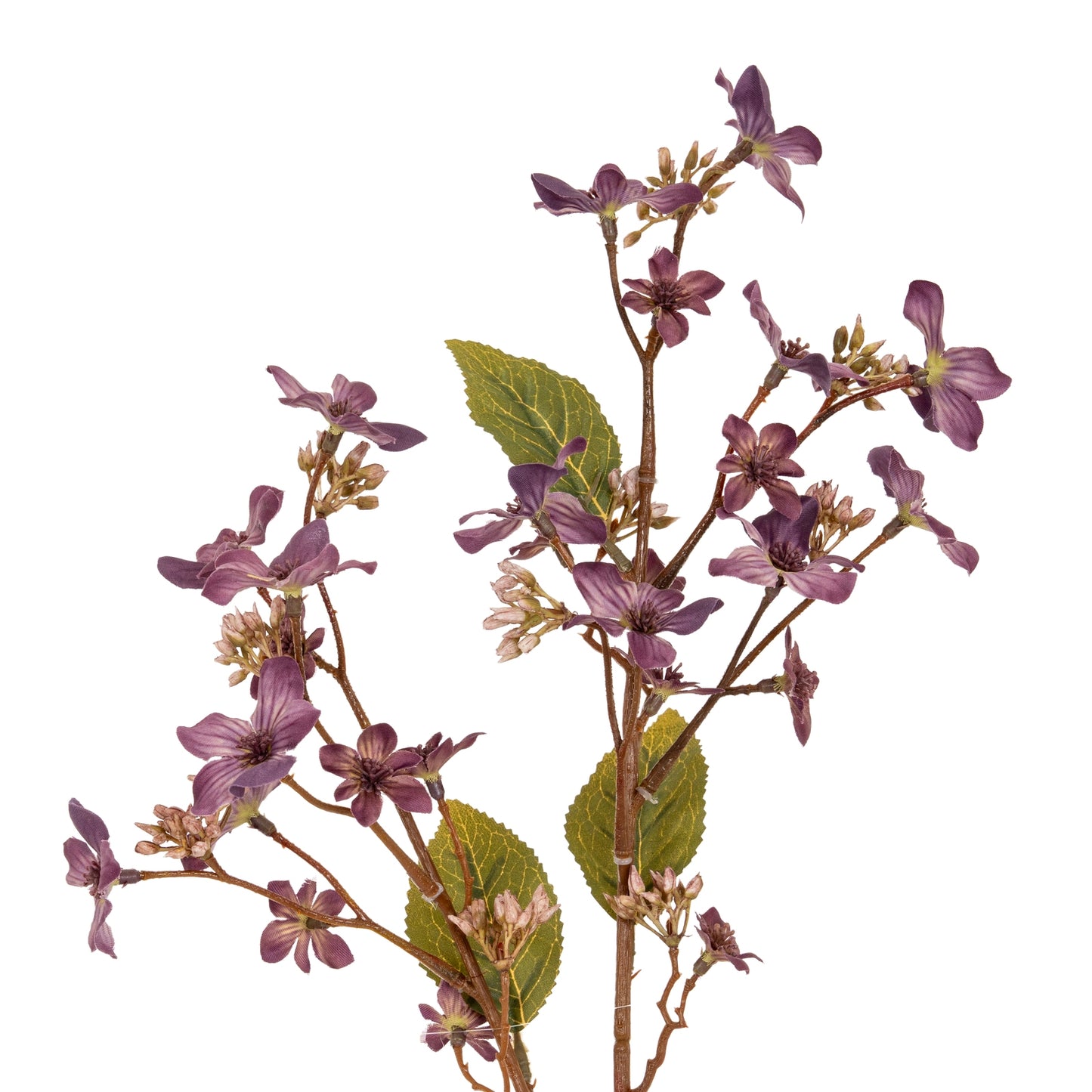 Purple Vernicia Fordii Spray - Single Stem Flowers from the Quanta Home collection.