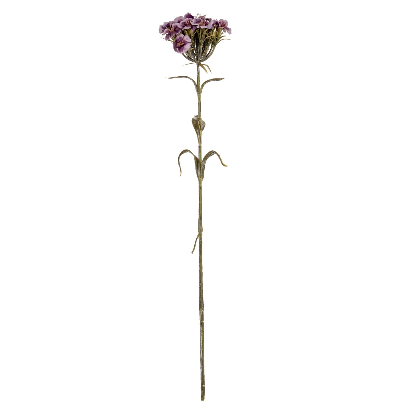 Purple Dianthus Spray - Single Stem Flowers from the Quanta Home collection.