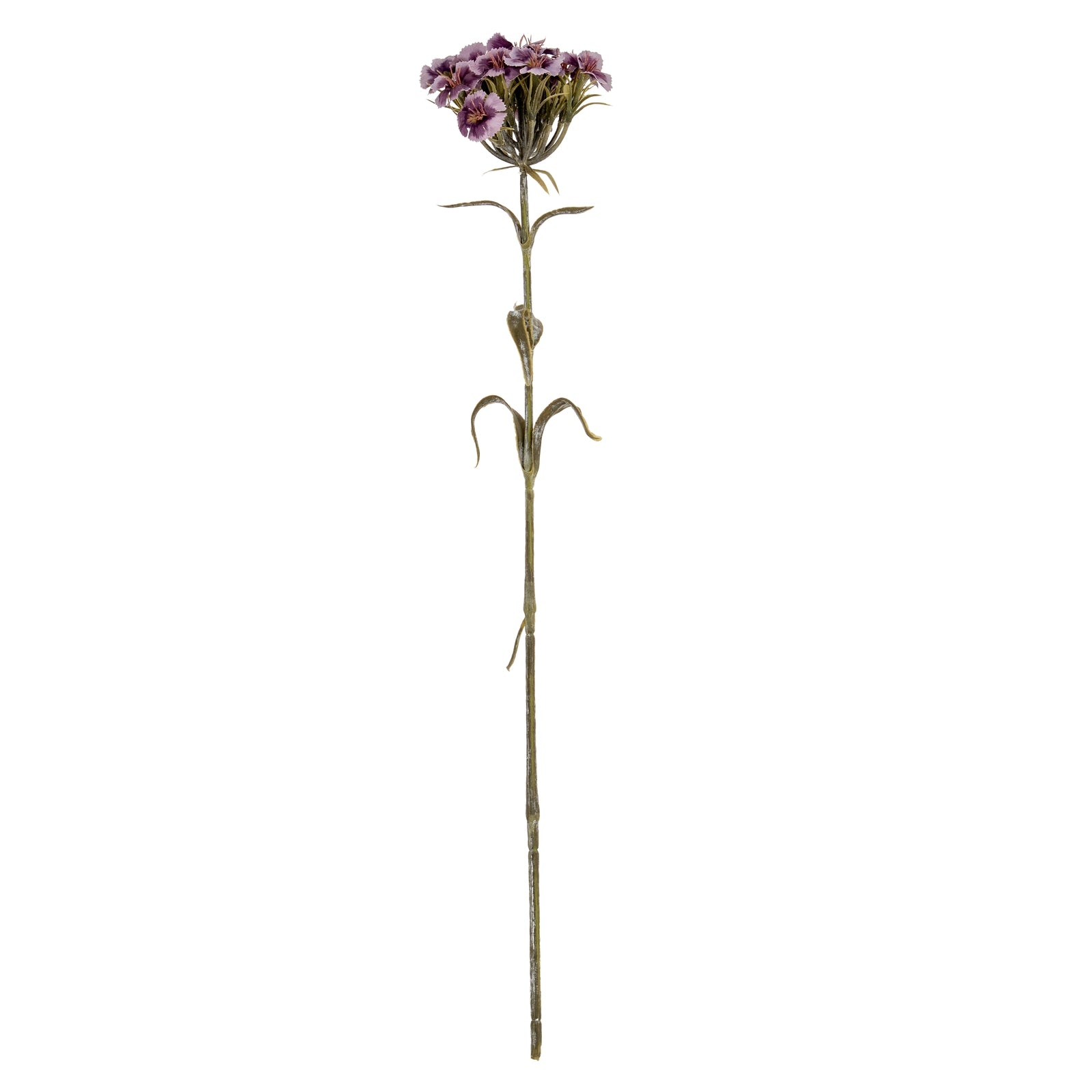 Purple Dianthus Spray - Single Stem Flowers from the Quanta Home collection.