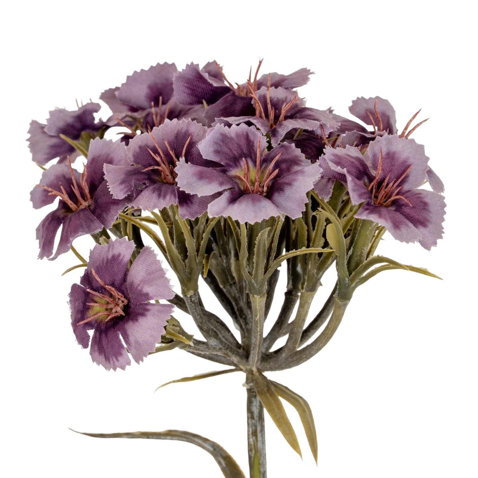 Purple Dianthus Spray - Single Stem Flowers from the Quanta Home collection.