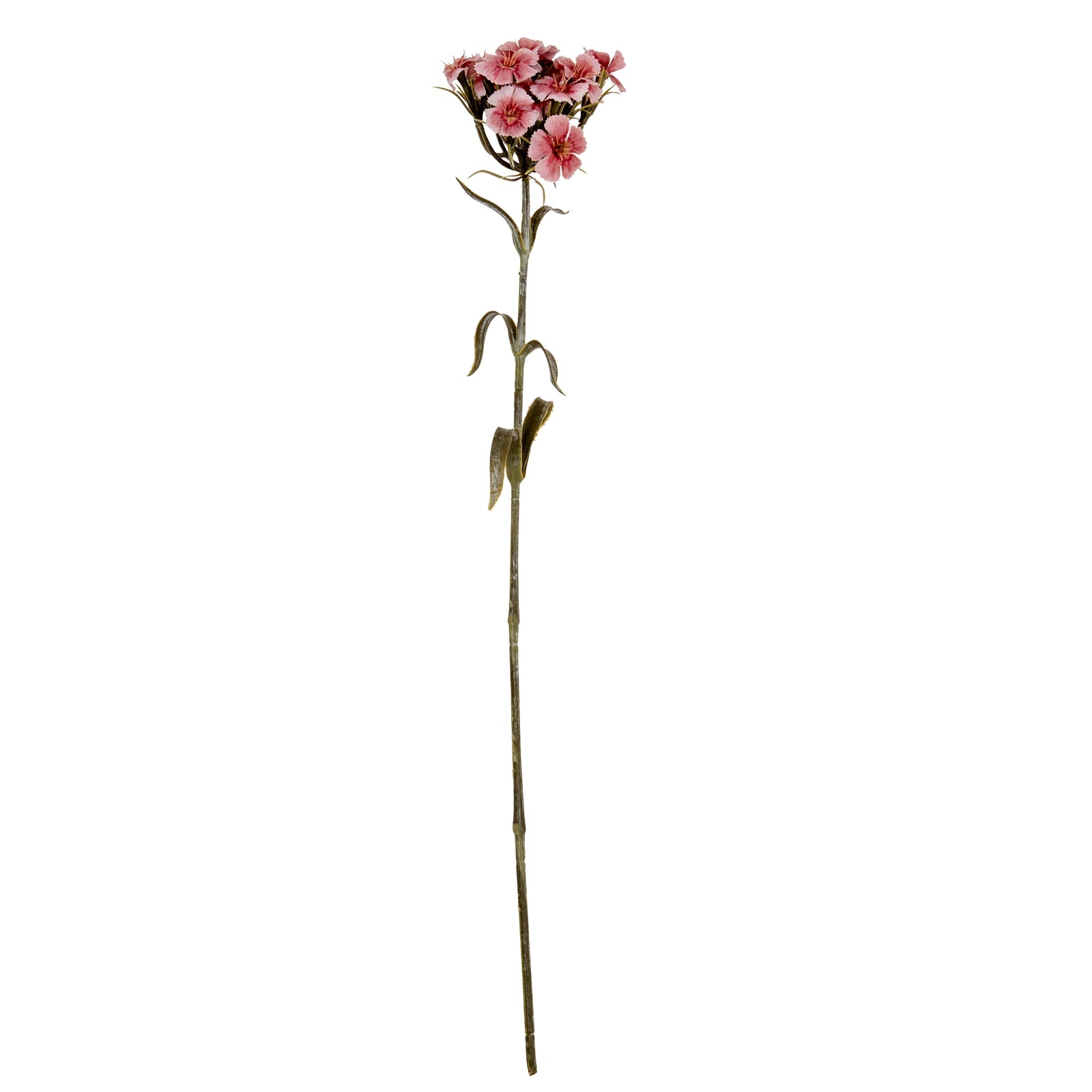 Pink Dianthus Spray - Single Stem Flowers from the Quanta Home collection.