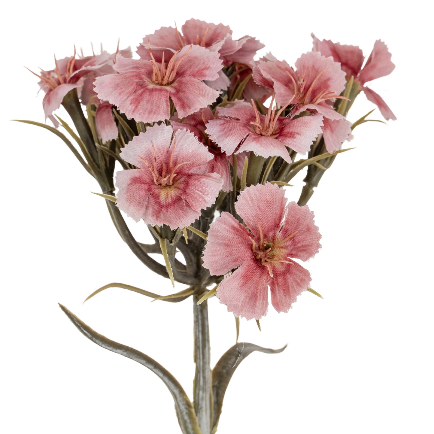Pink Dianthus Spray - Single Stem Flowers from the Quanta Home collection.