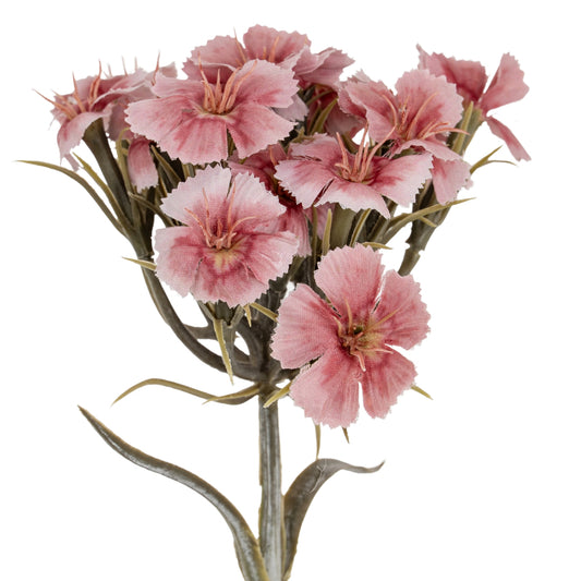 Pink Dianthus Spray - Single Stem Flowers from the Quanta Home collection.