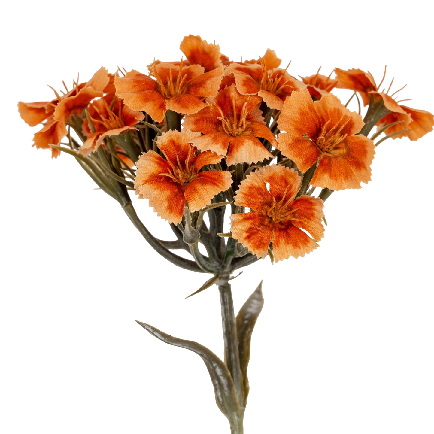 Orange Dianthus Spray - Single Stem Flowers from the Quanta Home collection.