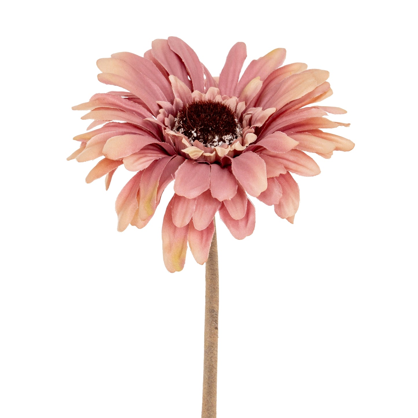 Pink Gerbera Stem - Single Stem Flowers from the Quanta Home collection.
