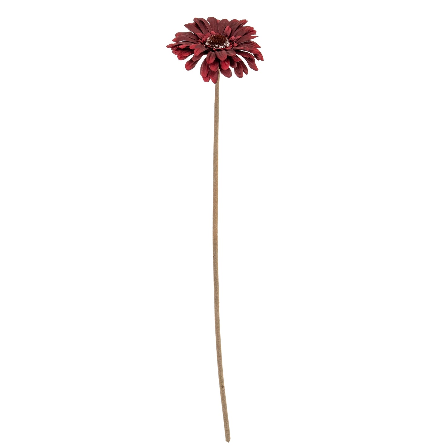 Burgundy Gerbera Stem - Single Stem Flowers from the Quanta Home collection.