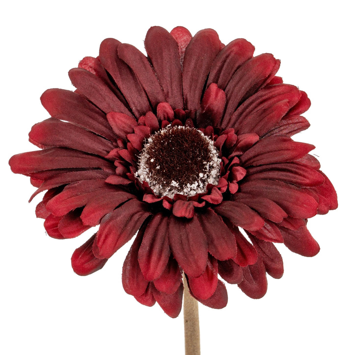 Burgundy Gerbera Stem - Single Stem Flowers from the Quanta Home collection.