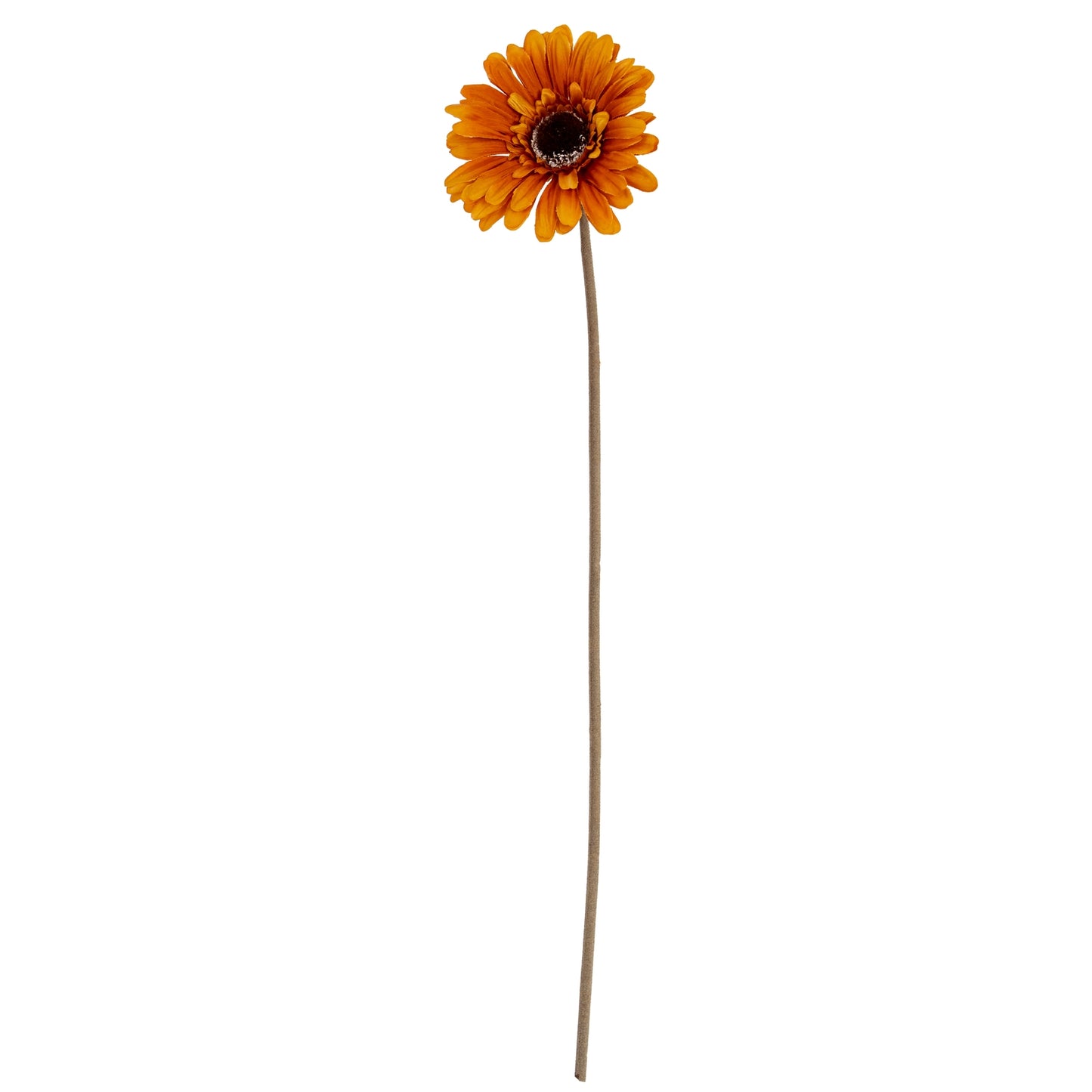 Soft Yellow Gerbera Stem - Single Stem Flowers from the Quanta Home collection.