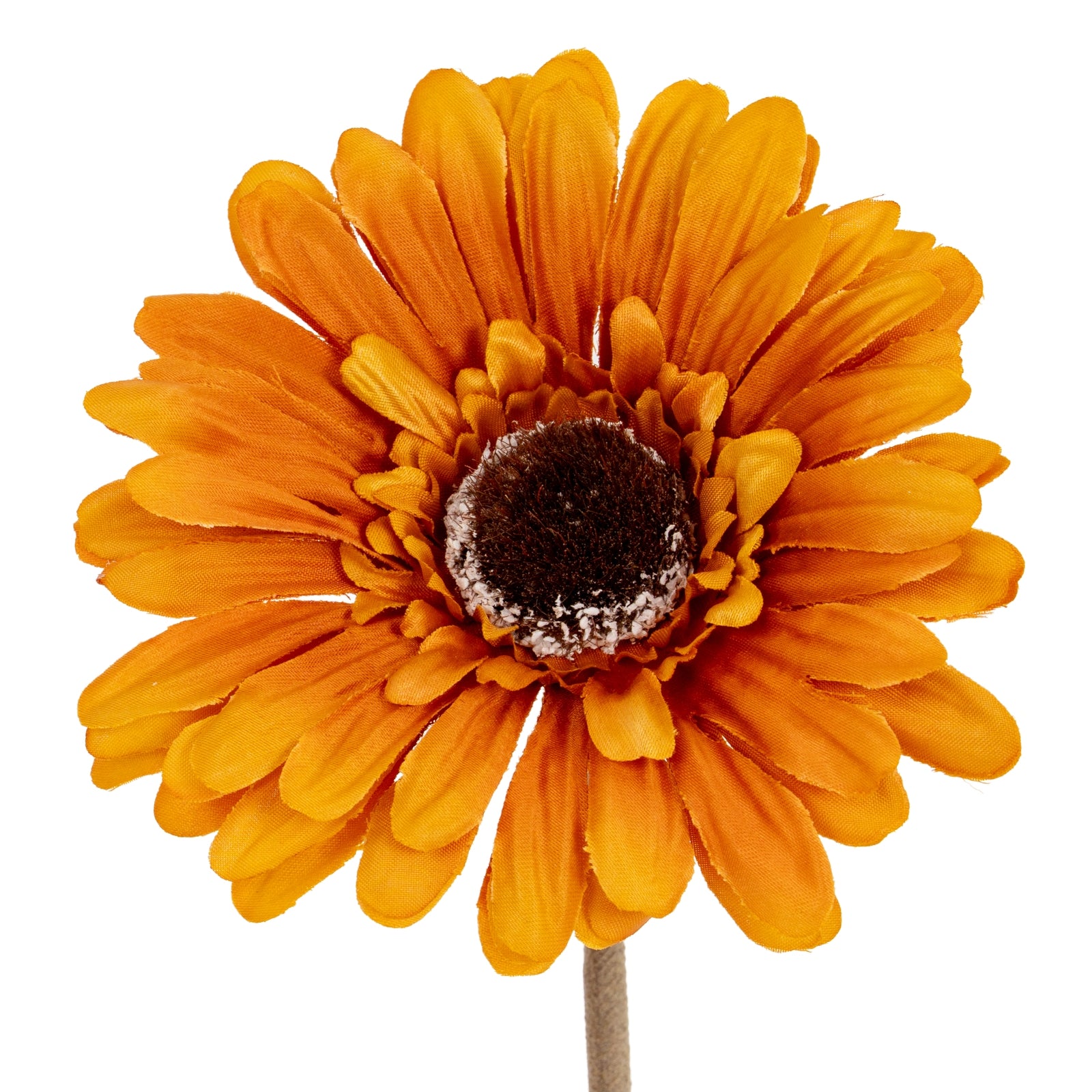 Soft Yellow Gerbera Stem - Single Stem Flowers from the Quanta Home collection.