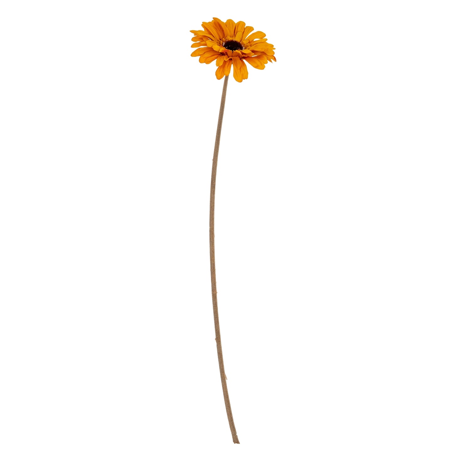 Orange Gerbera Stem - Single Stem Flowers from the Quanta Home collection.