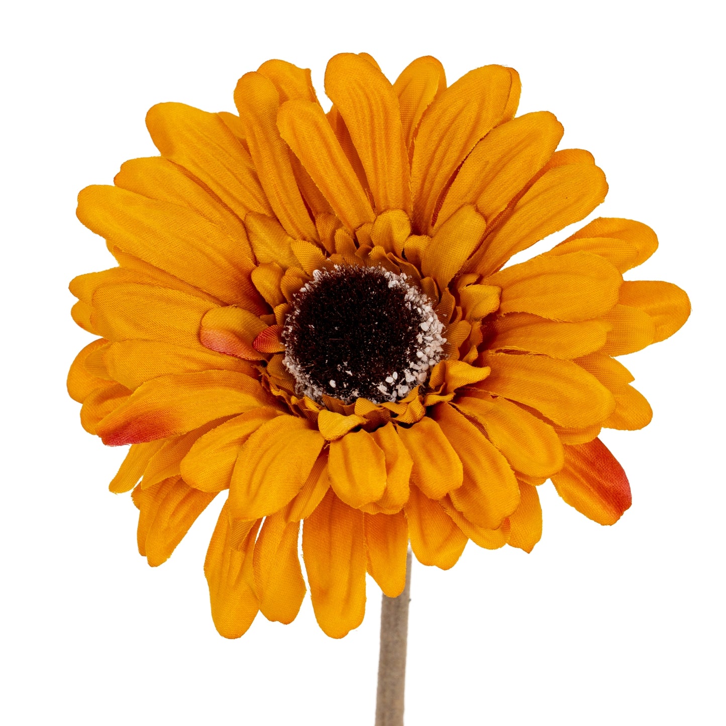 Orange Gerbera Stem - Single Stem Flowers from the Quanta Home collection.
