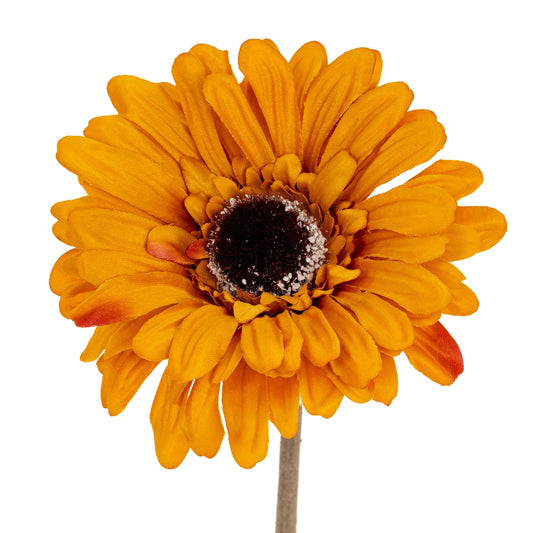 Orange Gerbera Stem - Single Stem Flowers from the Quanta Home collection.