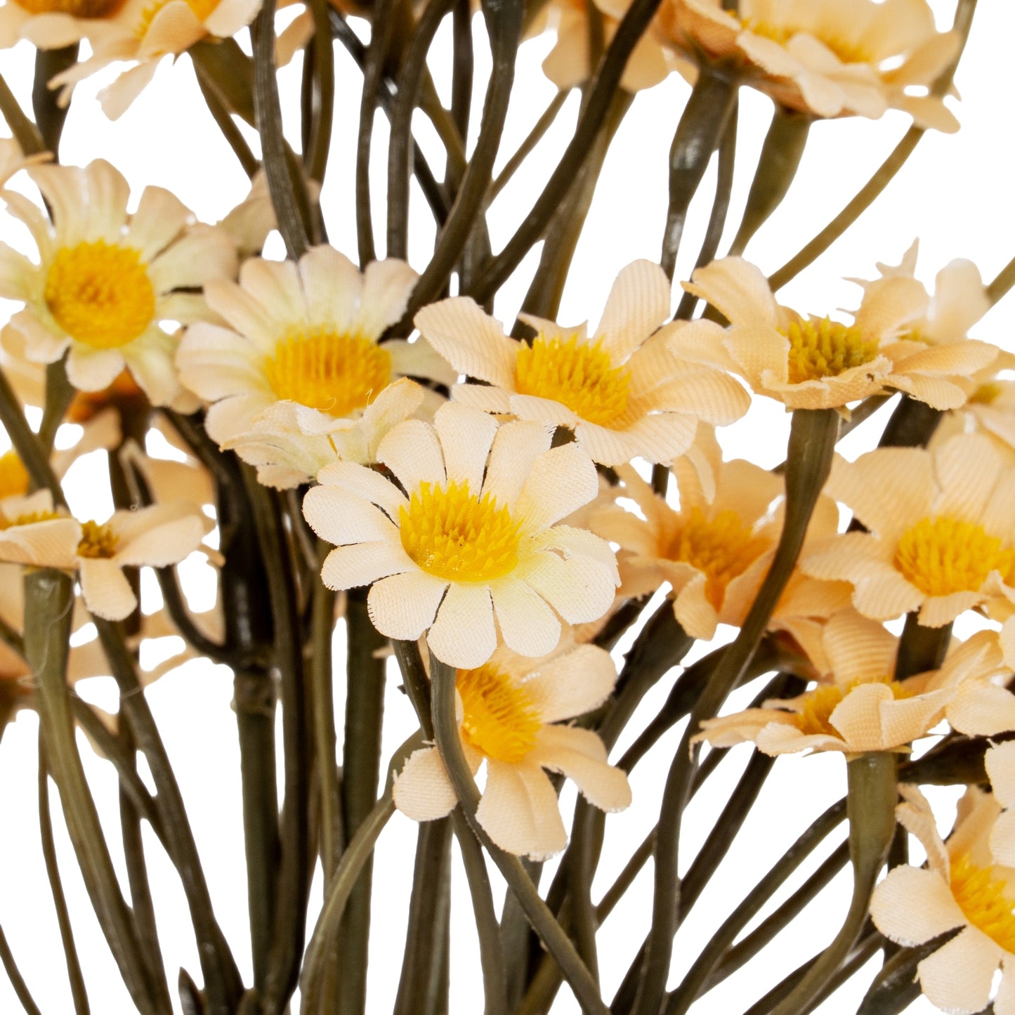 Cream Daisy Bunch - Single Stem Flowers from the Quanta Home collection.