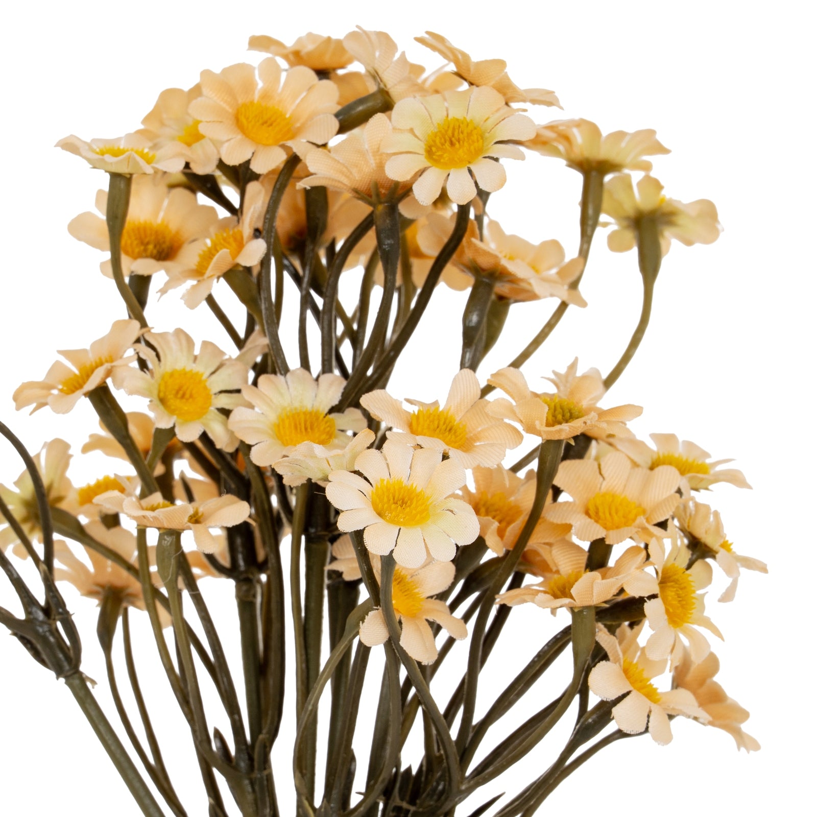 Cream Daisy Bunch - Single Stem Flowers from the Quanta Home collection.