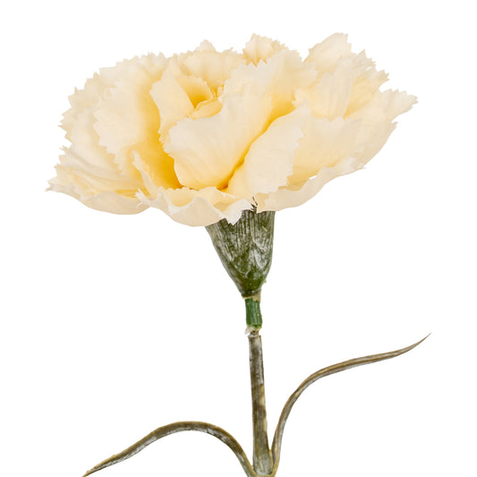 Cream Carnation Stem - Single Stem Flowers from the Quanta Home collection.