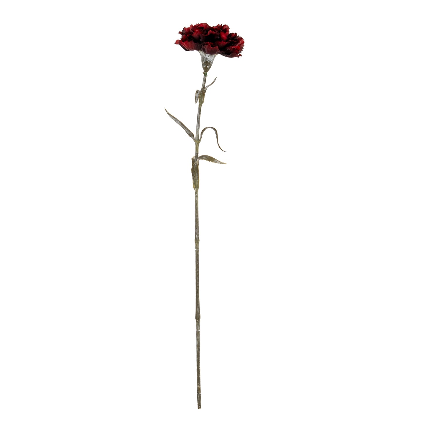 Burgundy Carnation Stem - Single Stem Flowers from the Quanta Home collection.