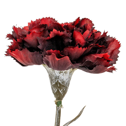 Burgundy Carnation Stem - Single Stem Flowers from the Quanta Home collection.