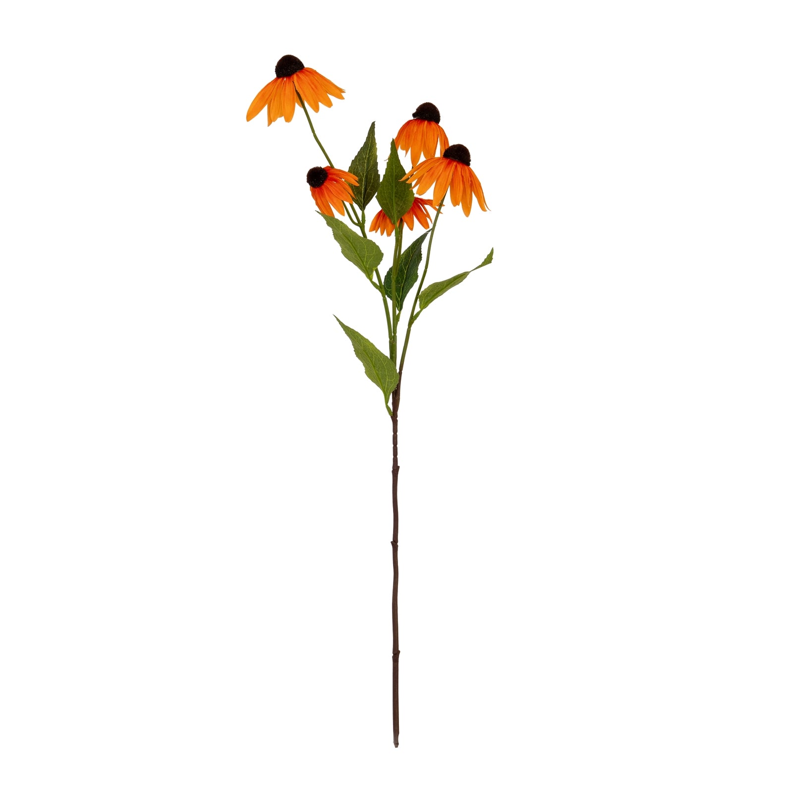Orange Echinacea Spray - Single Stem Flowers from the Quanta Home collection.