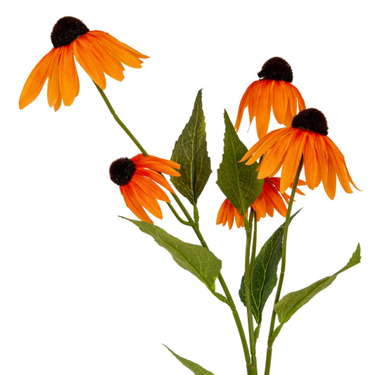 Orange Echinacea Spray - Single Stem Flowers from the Quanta Home collection.