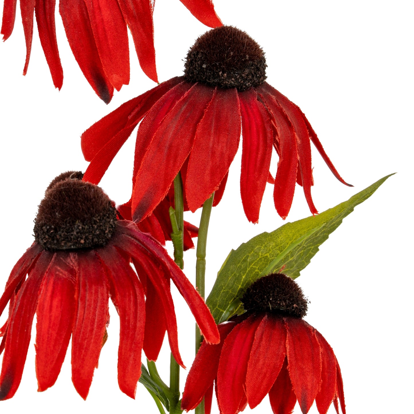 Red Echinacea Spray - Single Stem Flowers from the Quanta Home collection.